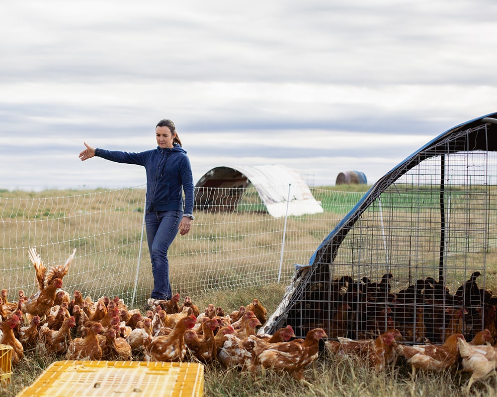 BelleVieFarms-13-min