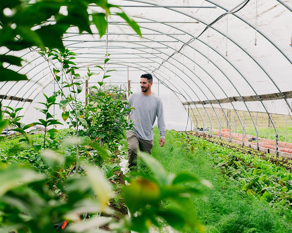 EmadiAcresFarm-16-min