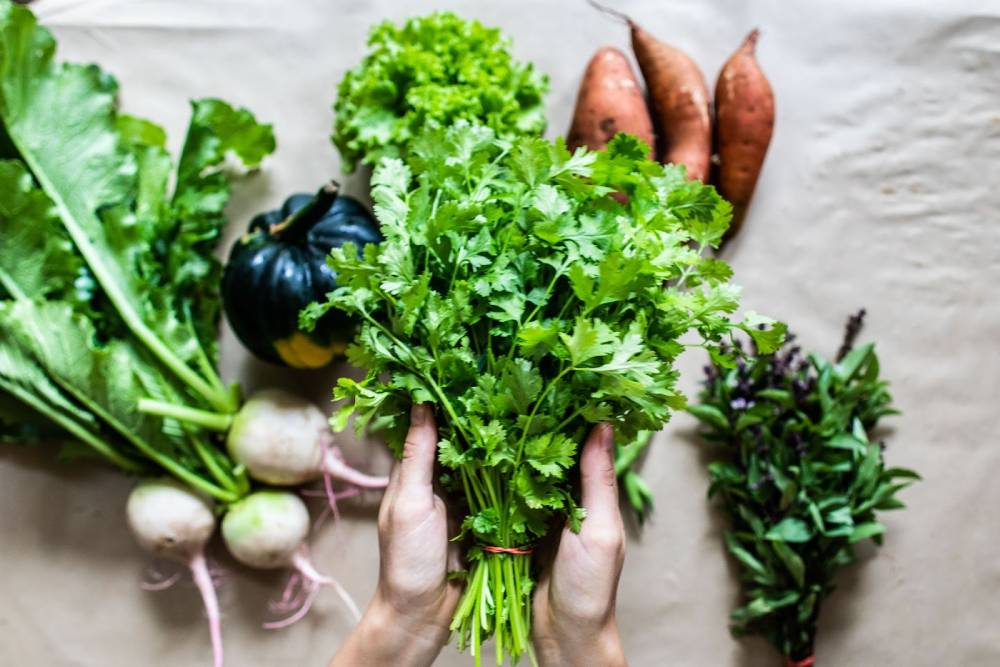 92C9oE4rD3qxlgJognf-fOZAW9cDdCDdyzuB6M6FzW_cIcA1Xz-min