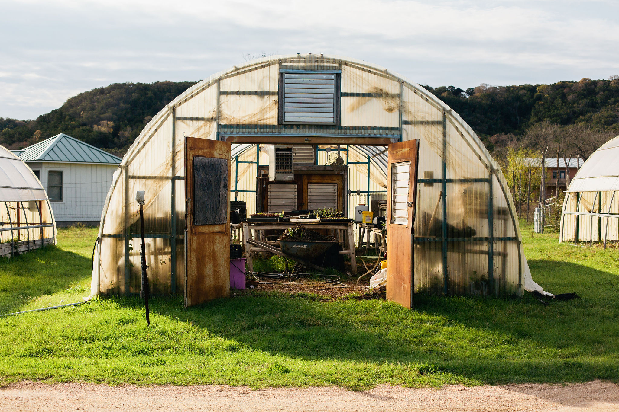 Central Texas Farmer's Co-Op CSA Season