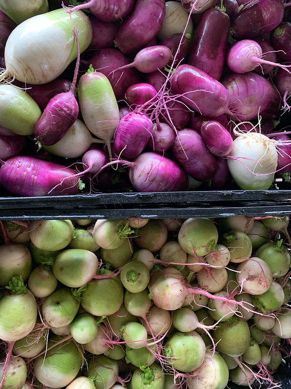 purple daikon from VRDNT Farm purple daikon radishes