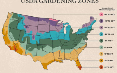 The Intricacies of Texan Farming Seasons: An Educational Journey