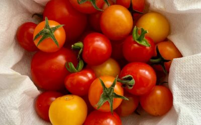 June Forecast + Summer Recipes